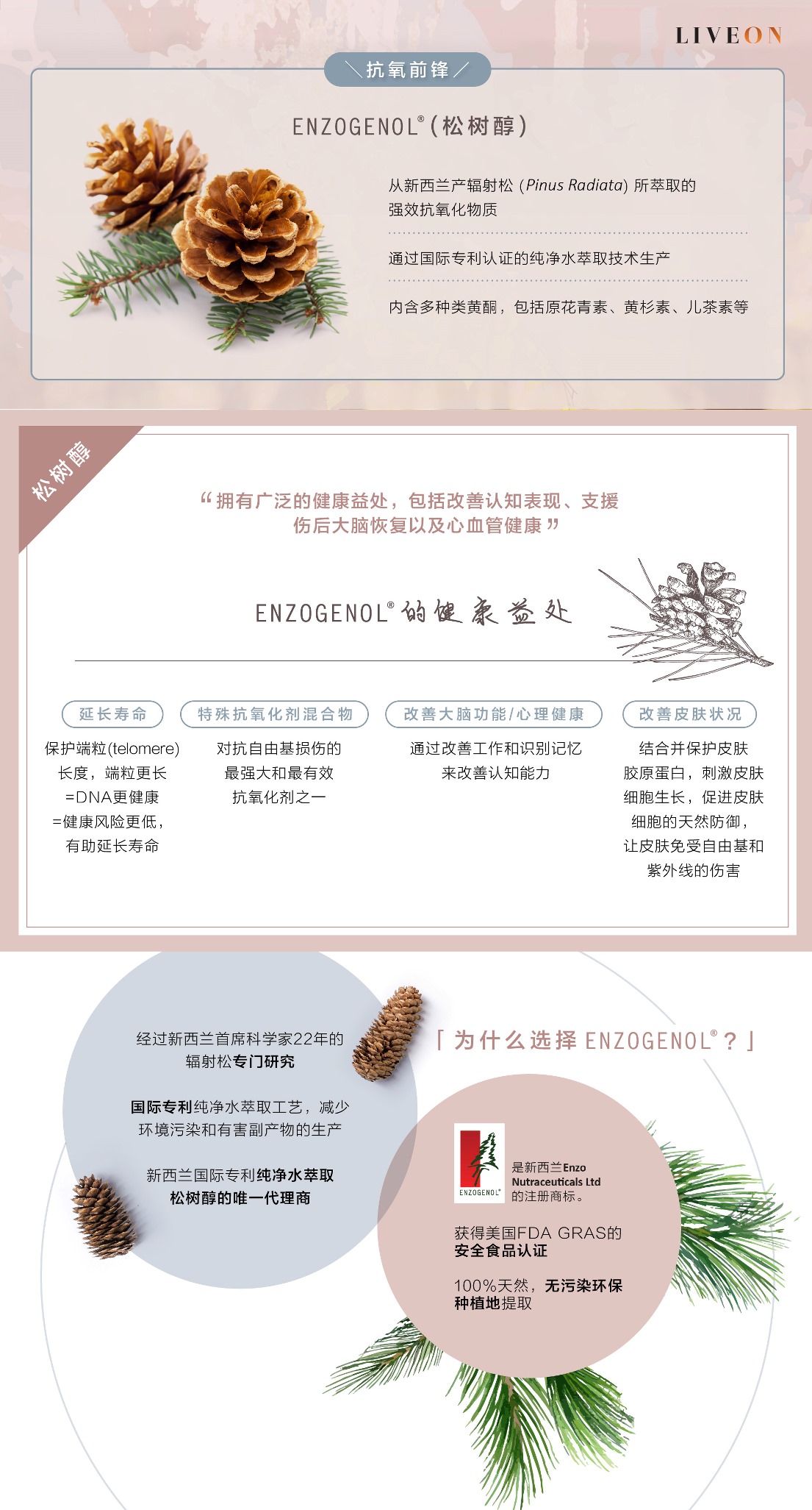LIVEON逆龄抗糖饮-香港|澳门- SOD extramel pine bark extract - a powerful antioxidant extracted from bark of pinus radiata in new zealand  