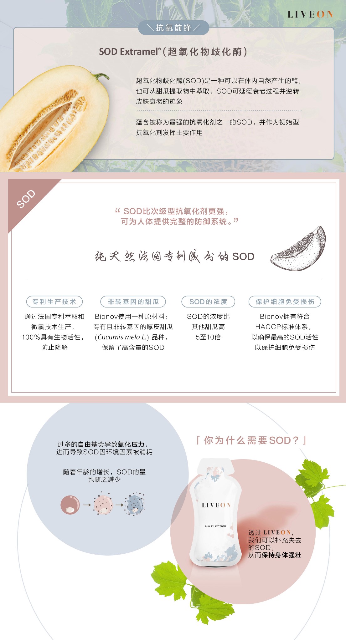 LIVEON逆龄抗糖饮-香港|澳门- SOD extramel free radicals oxidative stress 
