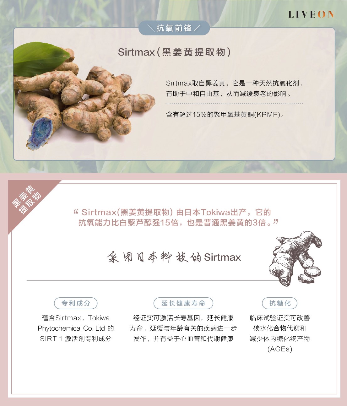 LIVEON逆龄抗糖饮-香港|澳门- Sirtmas (black turmeric extract) the anitoxidant frontliner  
