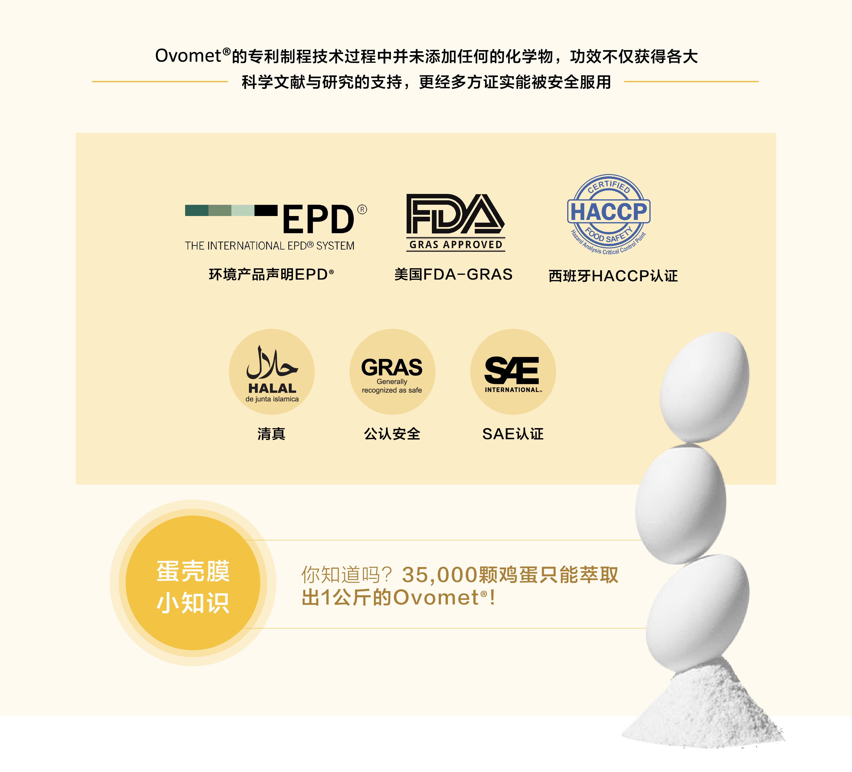 MOVEON灵活饮-香港|澳门