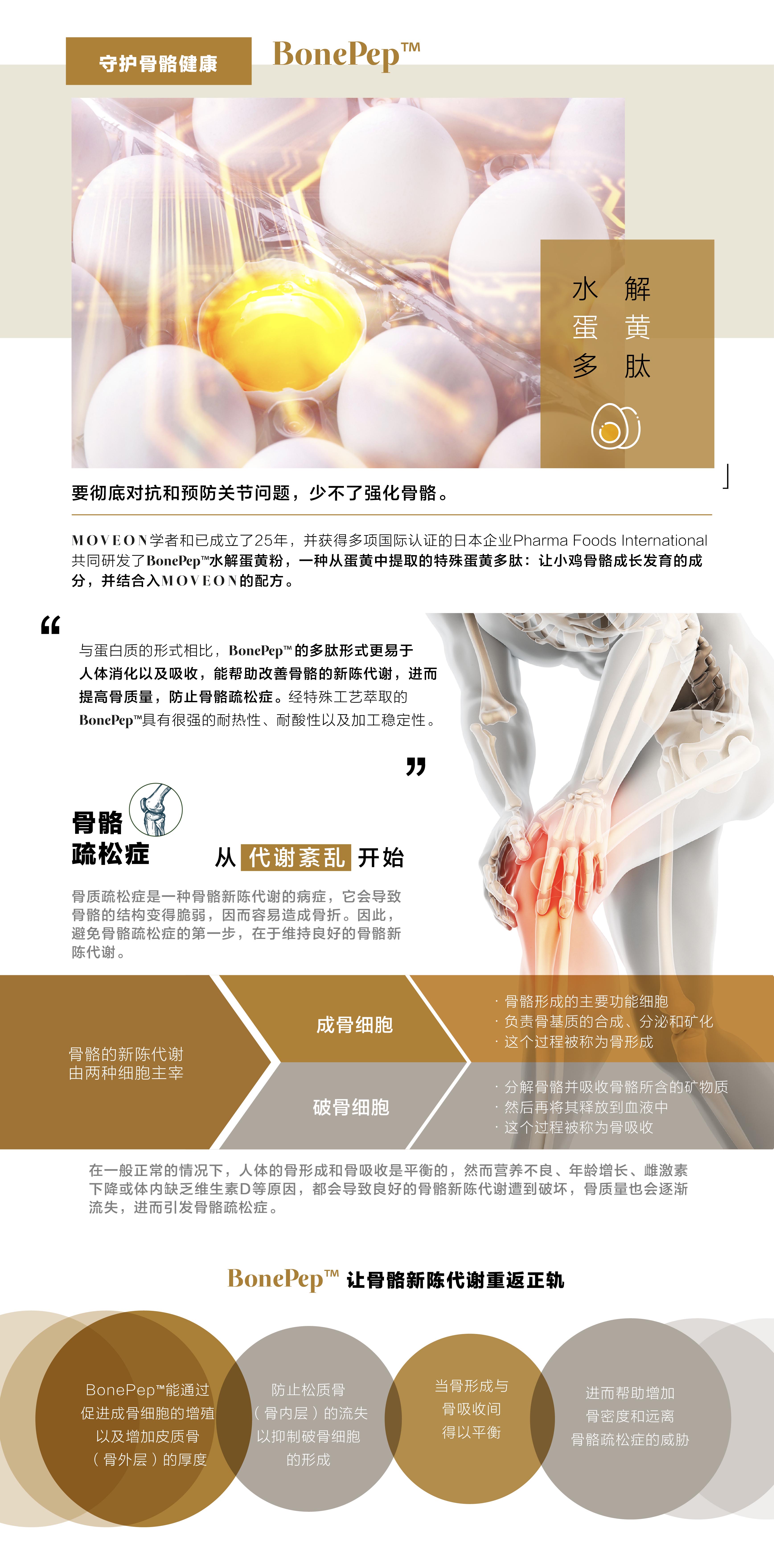 MOVEON灵活饮-香港|澳门