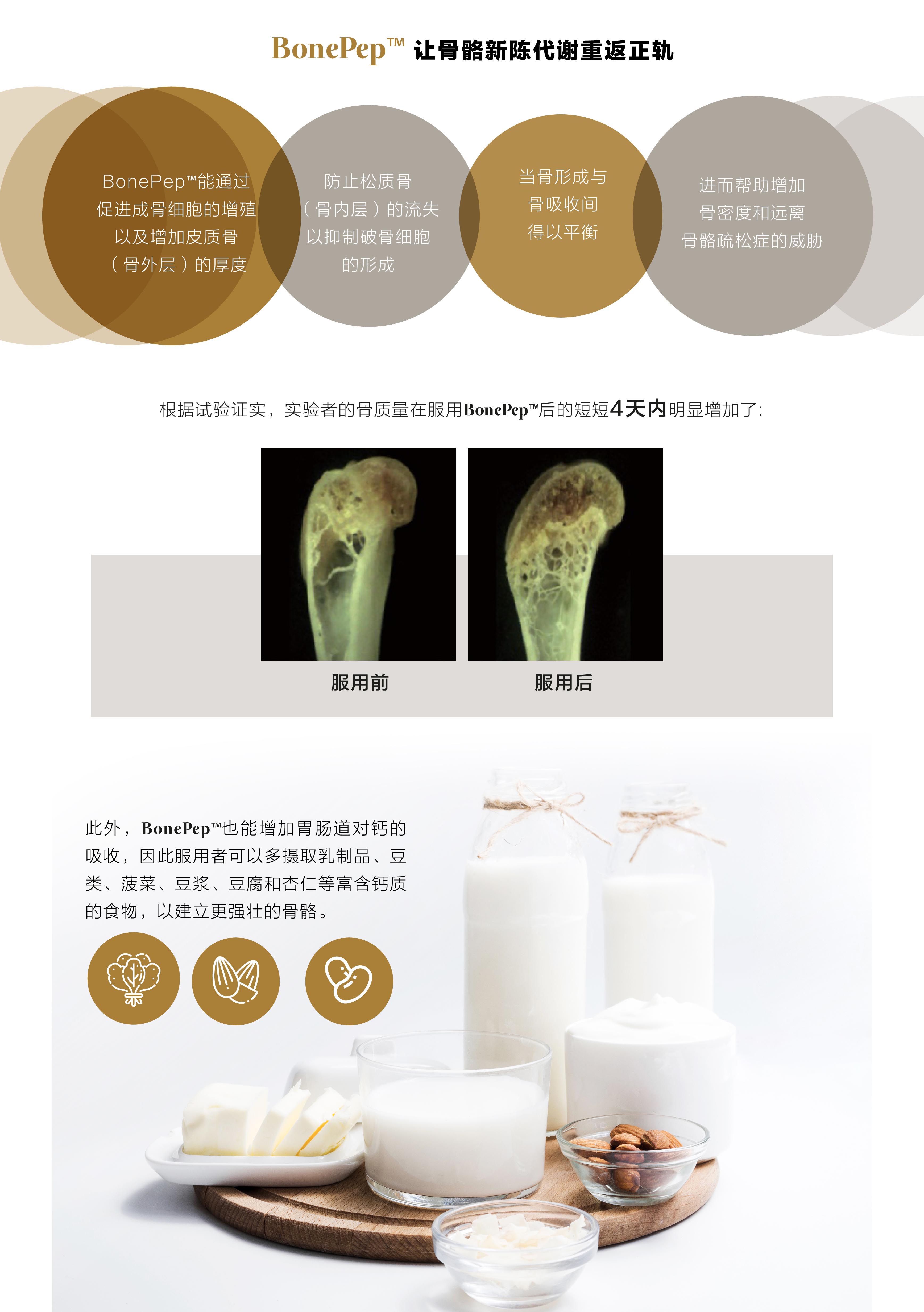 MOVEON灵活饮-香港|澳门