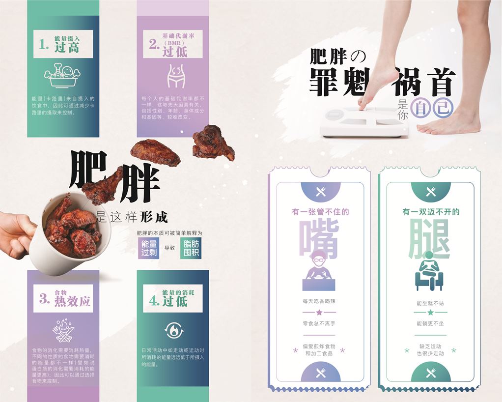 Wellous Zenso Wellnessmall Malaysia Signgapore